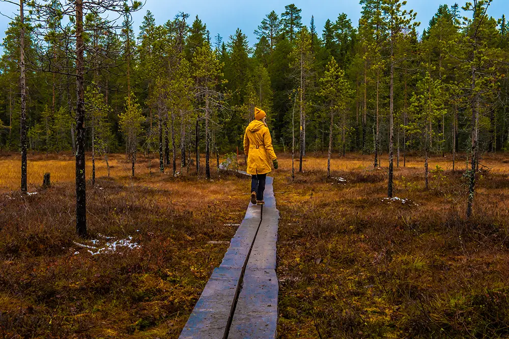 Syksy Iso-Syötteellä