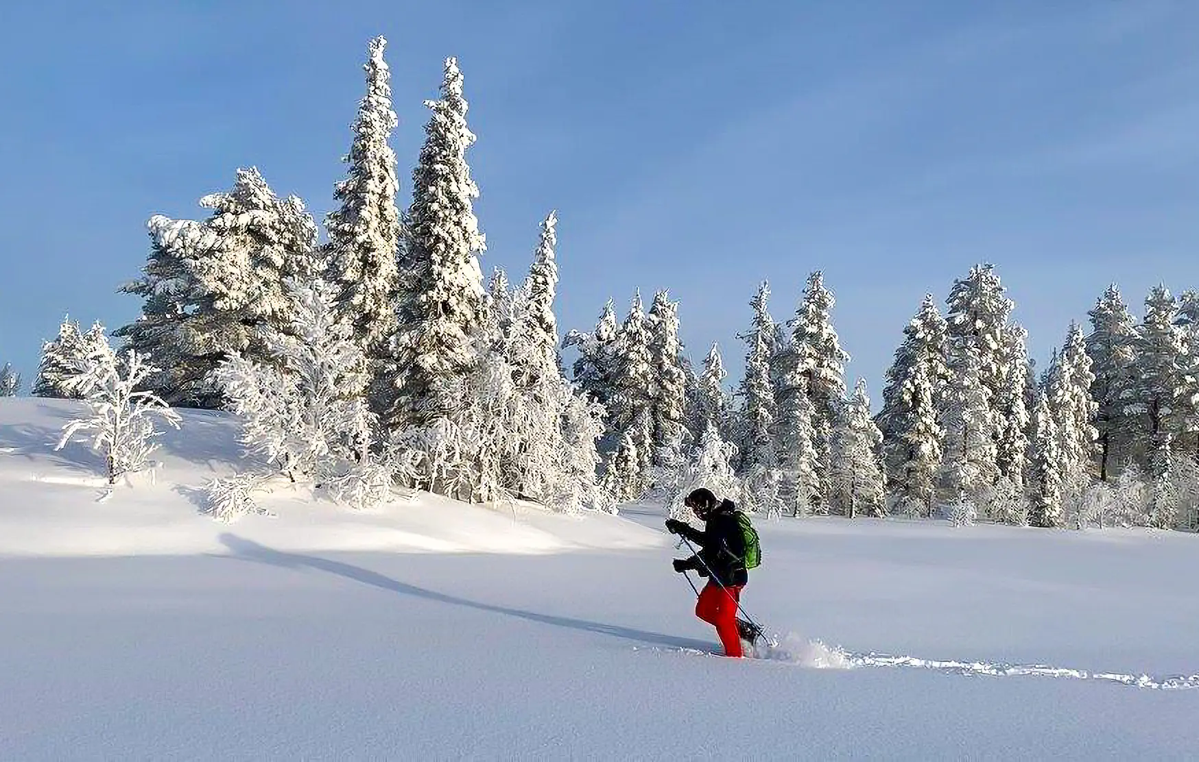 Man snowshoe walking in Pulju Lapland - Karpalo