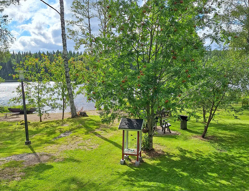 Mökki Ilvesjärven piha